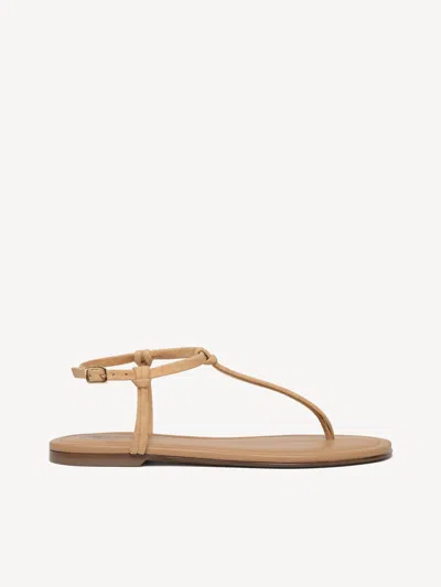 M. Gemi The Annalisa In Brown