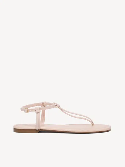 M. Gemi The Annalisa In Pink