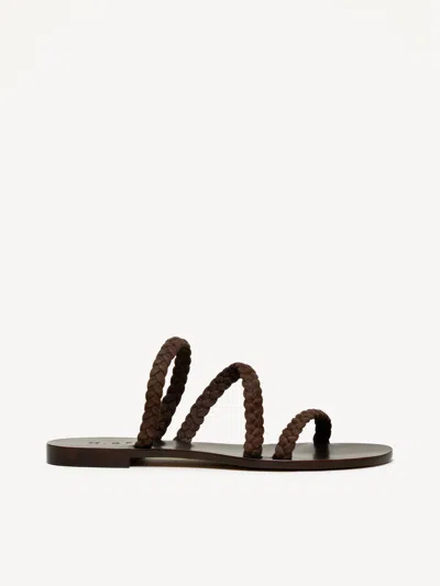 M. Gemi The Como In Brown