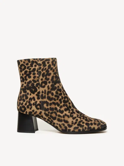 M. Gemi The Cristina In Brown