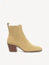M. Gemi The Era In Camel
