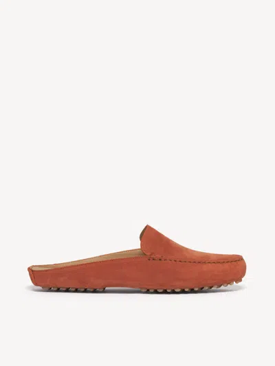 M. Gemi The Felize Mule In Brown