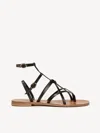 M. Gemi The Ginevra In Black