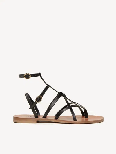M. Gemi The Ginevra In Black