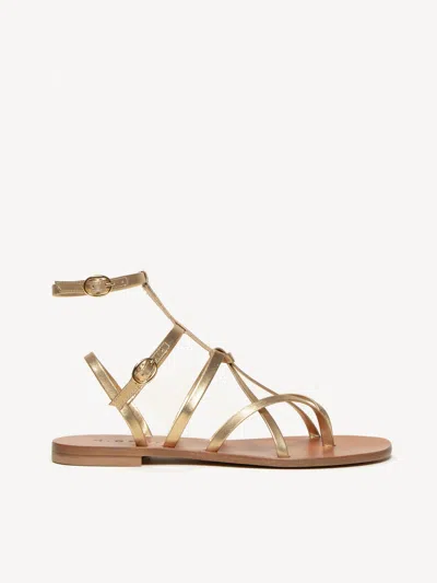 M. Gemi The Ginevra In Gold
