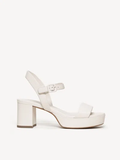 M. Gemi The Lizza Due In Multi