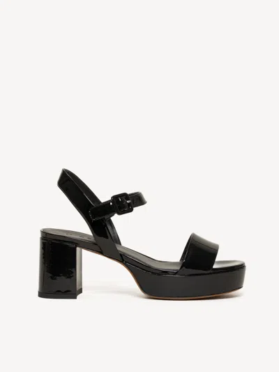 M. Gemi The Lizza Due In Multi