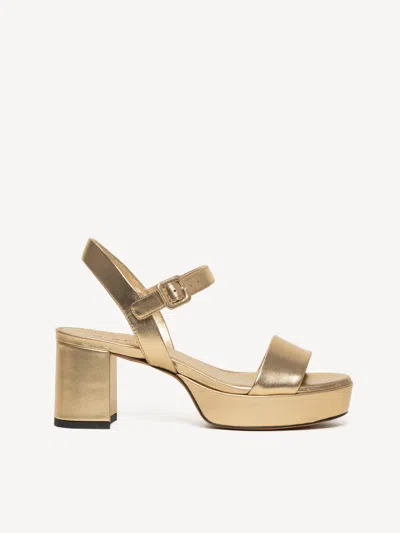 M. Gemi The Lizza Due In Multi