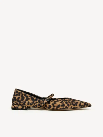 M. Gemi The Loriana In Brown