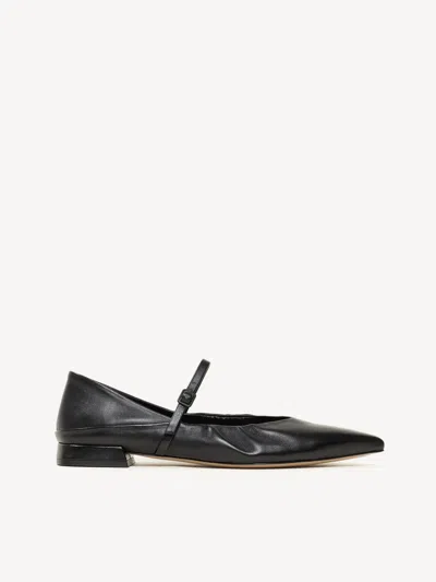 M. Gemi The Loriana In Black