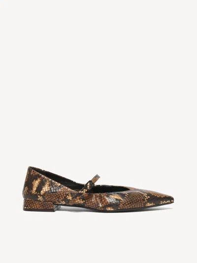 M. Gemi The Loriana In Brown Python Print Nappa