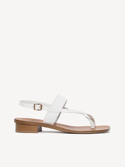 M. Gemi The Luce In Multi