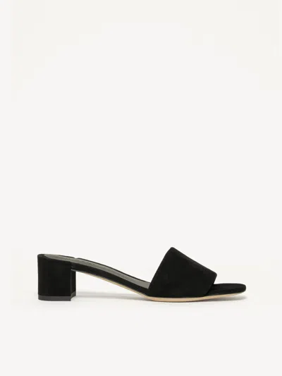 M. Gemi The Lucia In Black