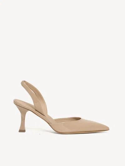 M. Gemi The Mara In Brown