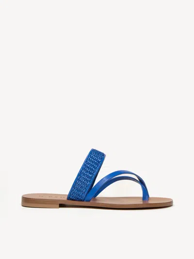 M. Gemi The Medio In Cobalt Blue