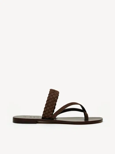 M. Gemi The Medio Woven Due In Brown