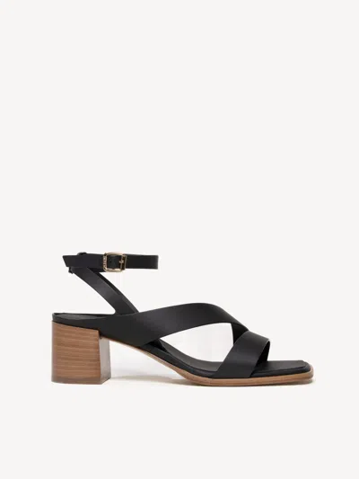 M. Gemi The Moira In Black