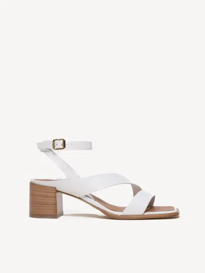 M. Gemi The Moira In White