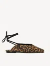 M. Gemi The Novella In Leopard Print