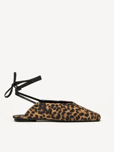 M. Gemi The Novella In Leopard Print