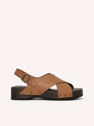 M. Gemi The Petra In Multi