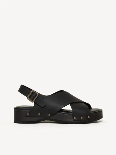 M. Gemi The Petra In Multi