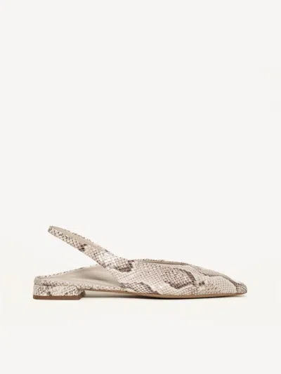 M. Gemi The Rosanna In Python Print