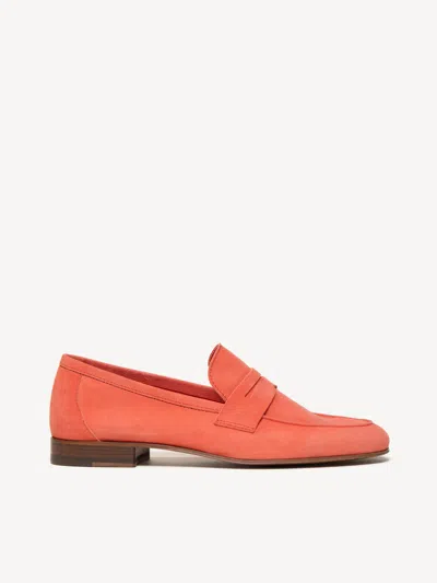 M. Gemi The Sacca Donna In Coral