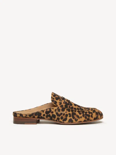 M. Gemi The Sacca Donna Mule In Leopard Print