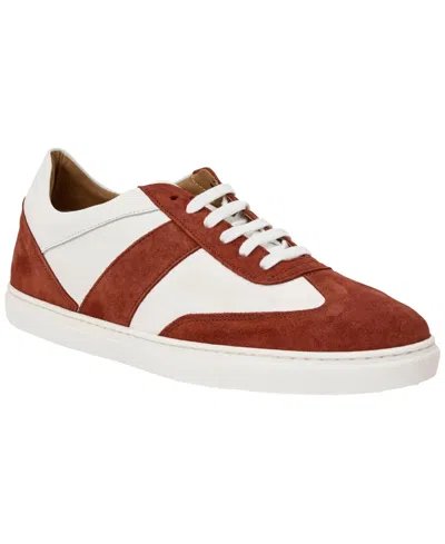 M Line By Bruno Magli Men's Lace-up Sneakers In Animal Print