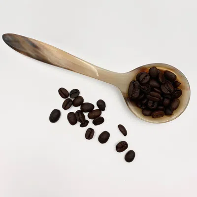 Maadili Collective Long Handle Horn Coffee Scoop In Brown
