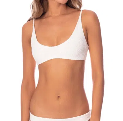 Maaji Blush Bralette Bikini Top In Zebra Frost In White