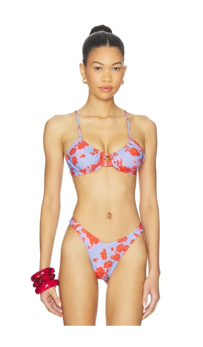 Maaji Jady Reversible Bikini Top In Multi