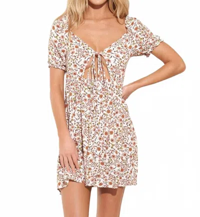 Maaji Lucy Mini Dress In Wild Flower In Multi
