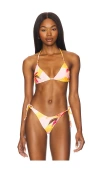 Maaji Paradiso Waves Balmy Bikini Top In Pink