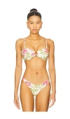 Maaji Pomona Bikini Top In Multi