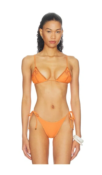 Maaji Solar Reverie Zen Bikini Top In Orange