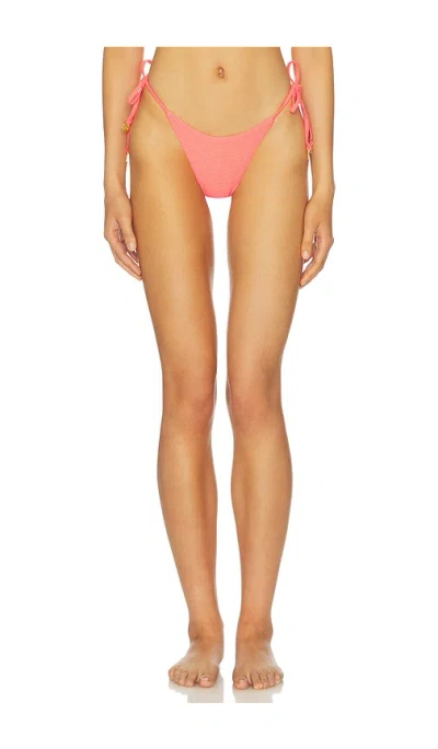Maaji Sunset Punch Sunflash Bikini Bottom In Red
