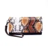 Mabe Women's Studded Python Print Clutch Wallet In Brown In Orange