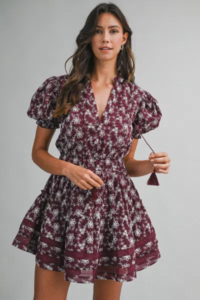 Mable Embroidered Ruffle Mini Dress Wine In Multi