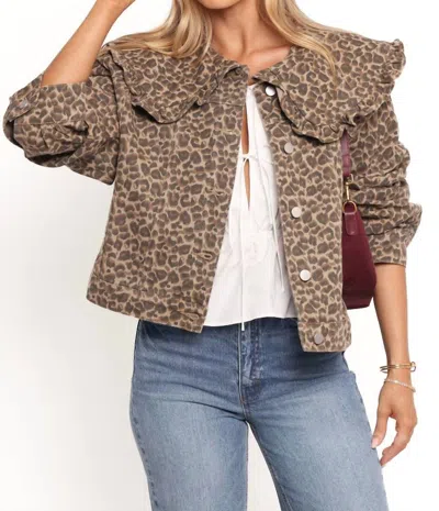 Mable Peter Pan Collar Jacket In Leopard In Multi