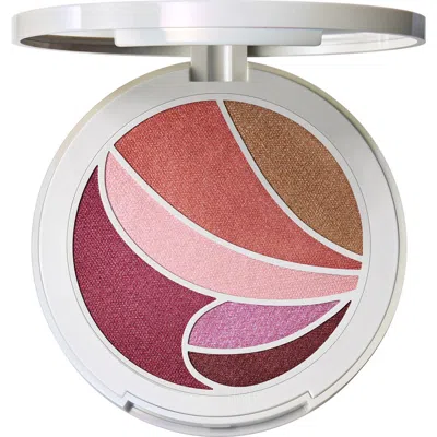 MAC COSMETICS MAC COSMETICS METAMORPHOSIS FACE & EYE PALETTE