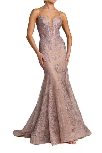 Mac Duggal Embroidered Lace Sleeveless Mermaid Gown In Pink