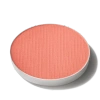 Mac In Coral