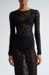 Maccapani Sheer Skimpy Top With Velvet Embroidery Floral Motif In Black