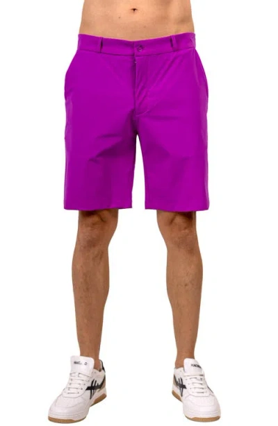 Maceoo All Day Shorts In Purple