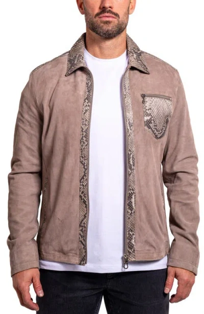 Maceoo Ascension 0009 Suede & Python Print Leather Jacket In Brown