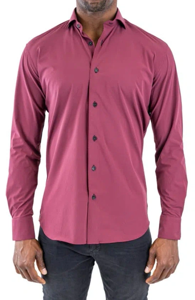 Maceoo Einstein Burgundy Stretch Cotton Button-up Shirt In Purple