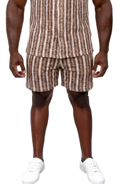 Maceoo Knit Drawstring Shorts In Brown