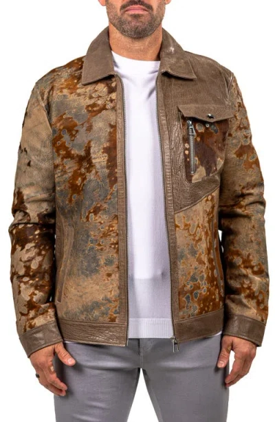 Maceoo Leather & Genuine Calf Hair Jacket In Brown